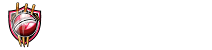 Where Cricket Strategy Meets Excitement!	- Fielderzone.com